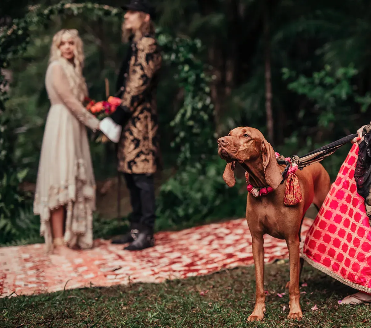 sally_mitch_real_wedding_eclectic_decor_gold_skull_geometric_lantern_wedlii_c05ba9e962
