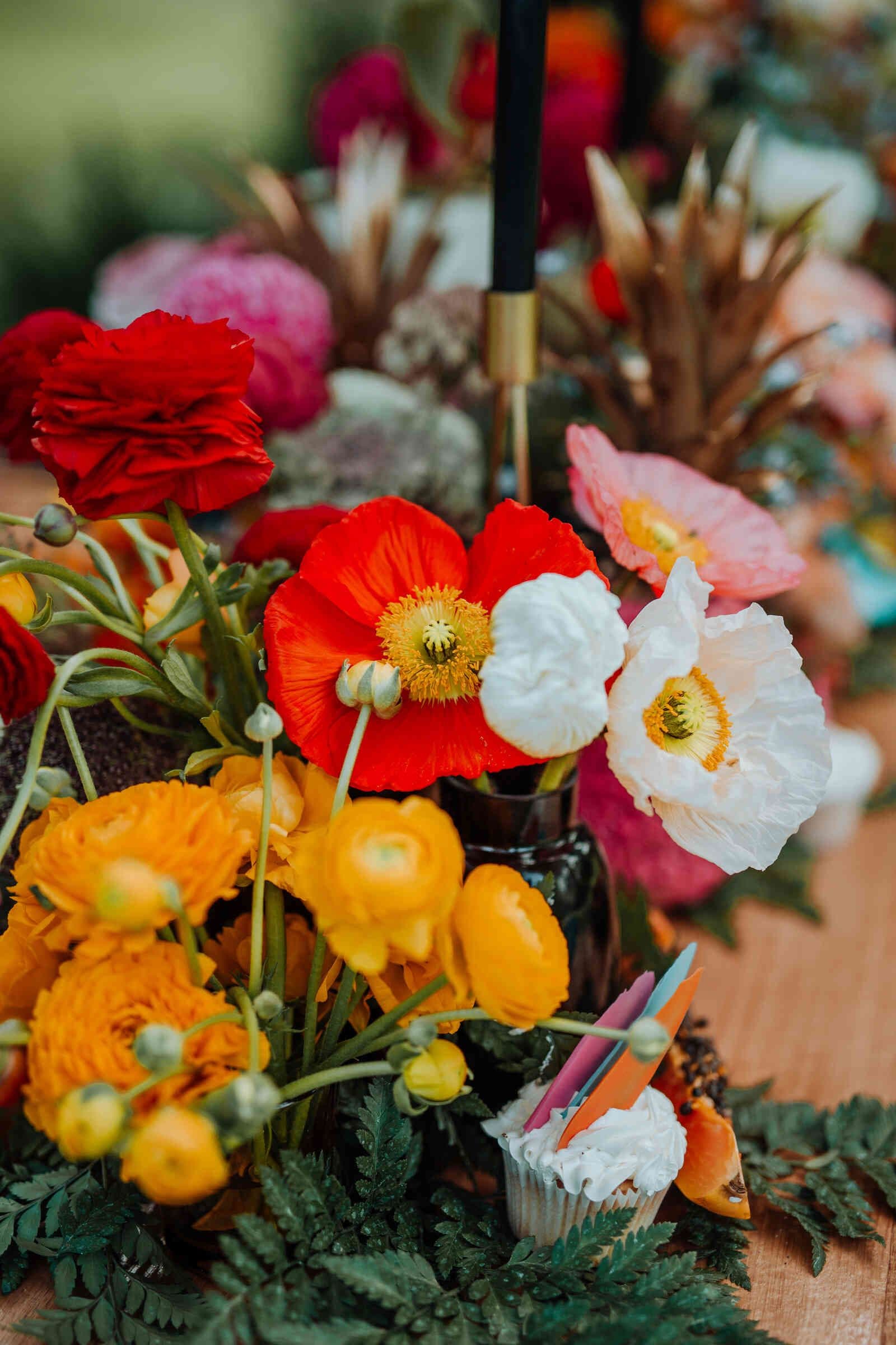 vibrant_red_orange_yellow_ranunculus_poppy_close_up_e0be223cc4
