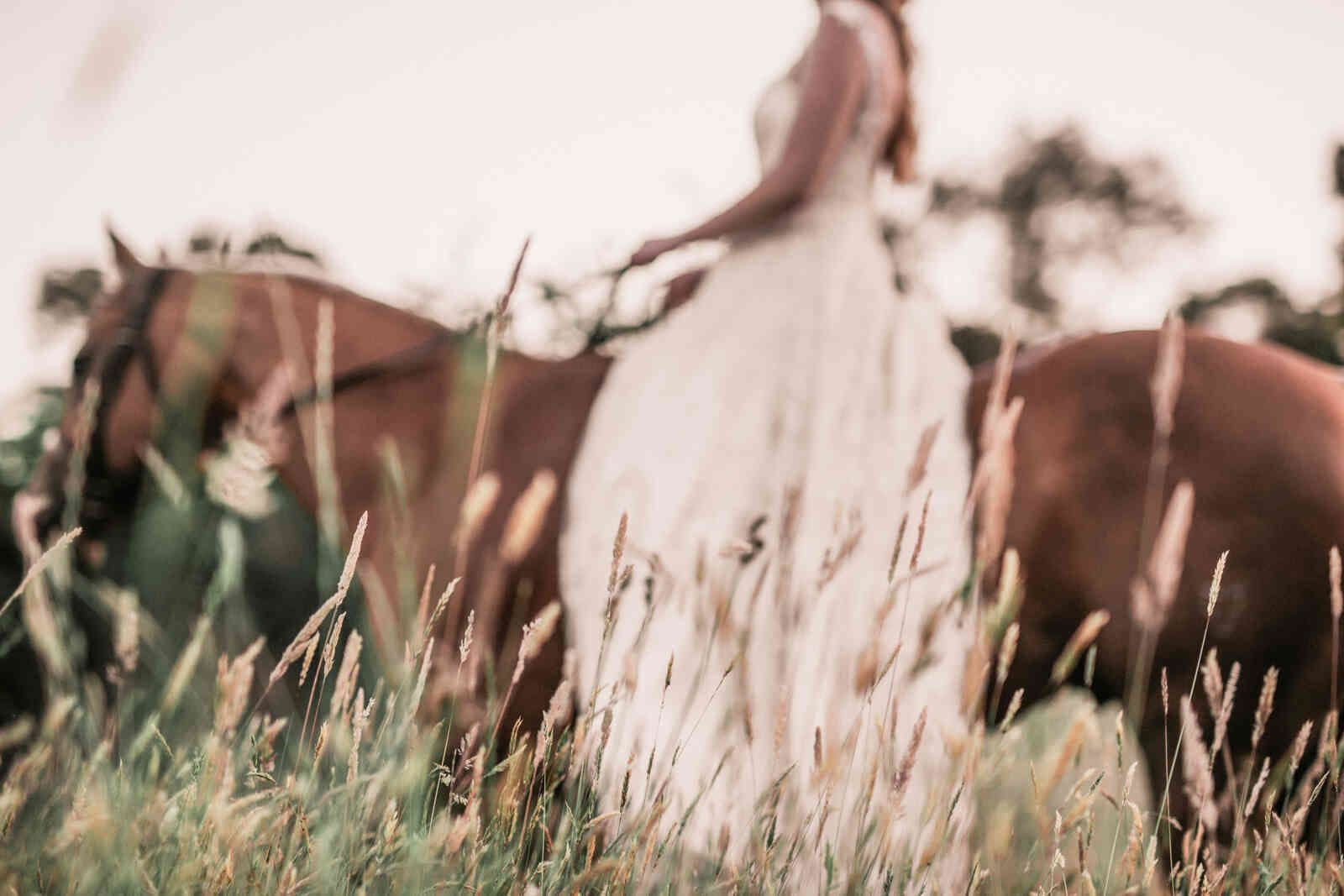 bride_riding_horse_tall_grass_detail_abd1878e15